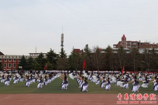 bob买球软件手机版使用方法于202