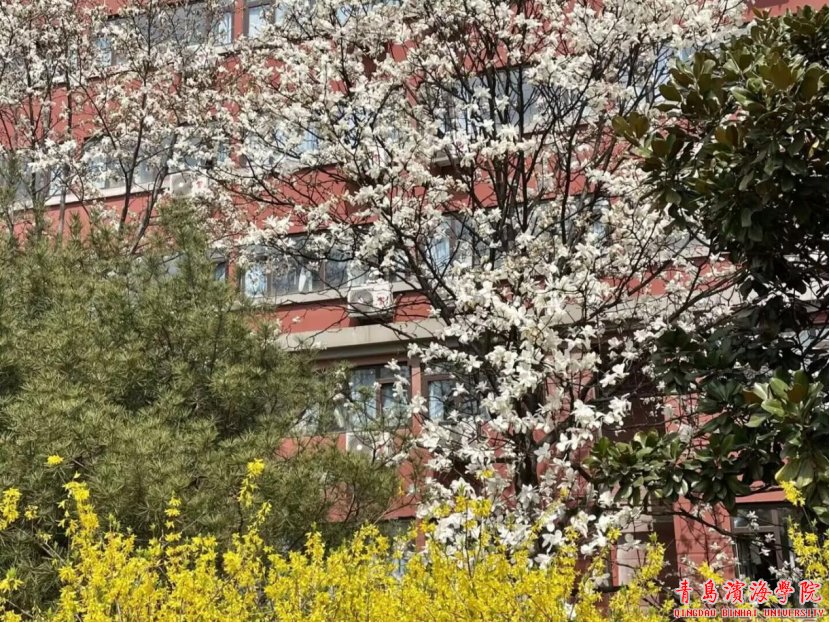 一般来说参加本次活动的为bob买球软
